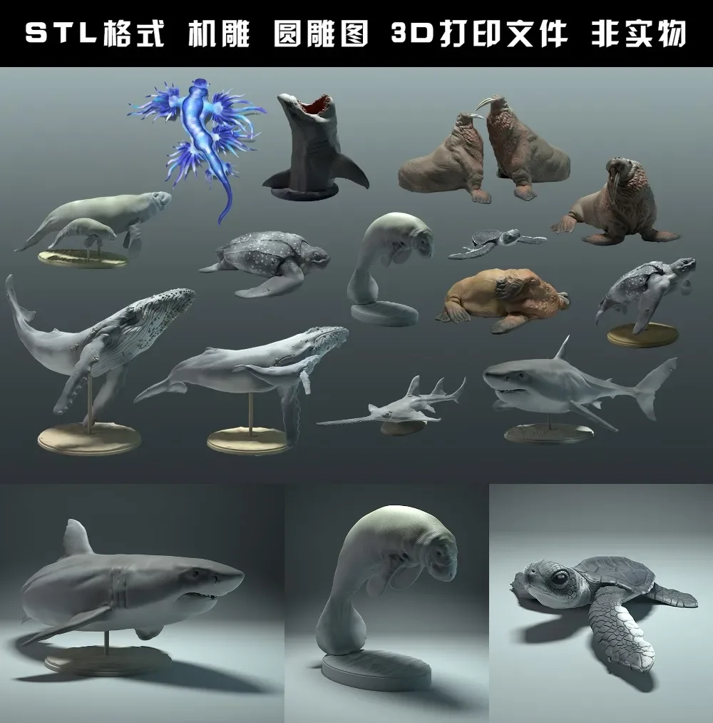 animals, polar bear, takin, wo - 3D Printing File Free บทวิจารณ์และราคา